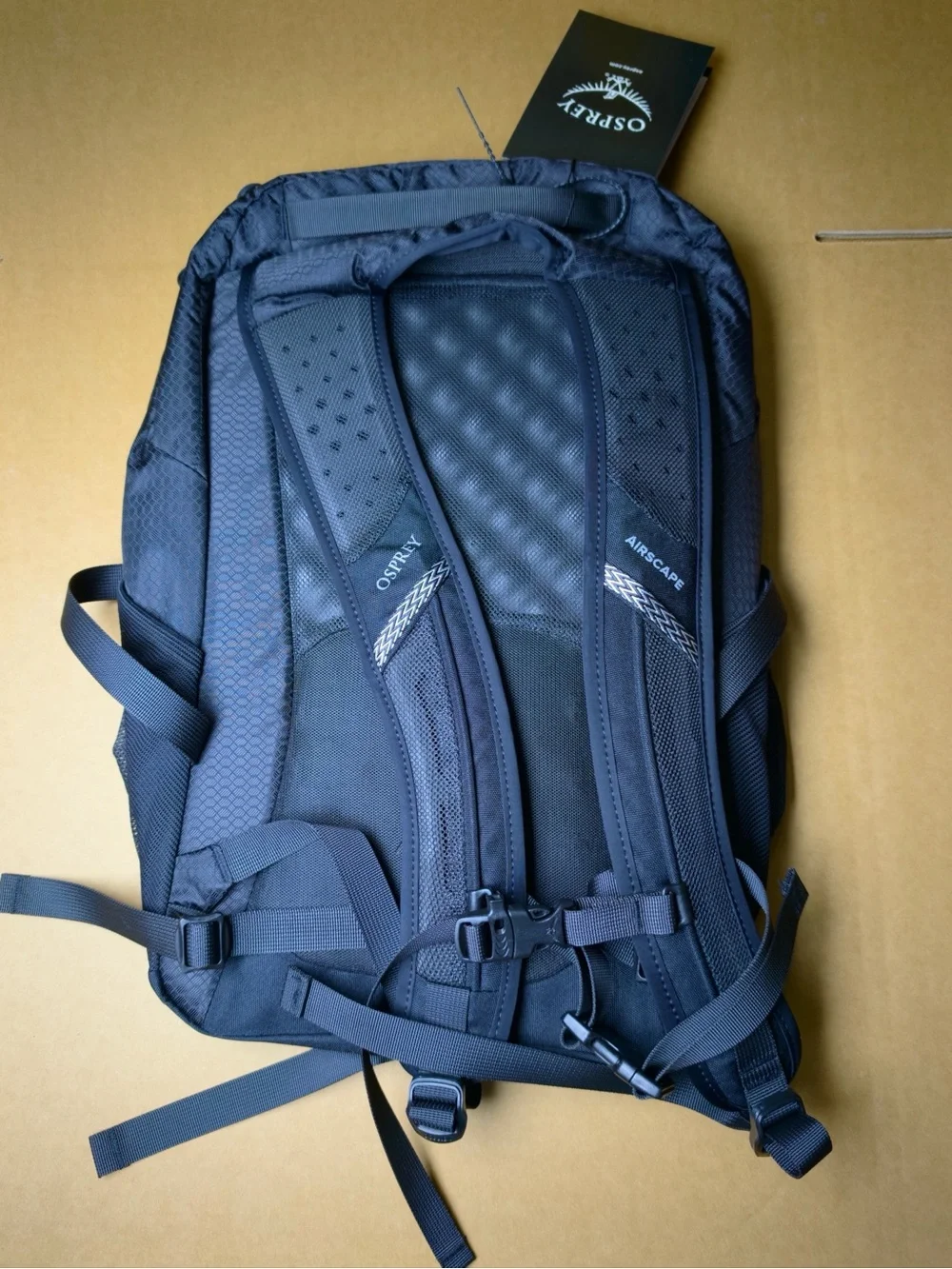 Osprey Comet 30 Commuter Men's Black Backpack